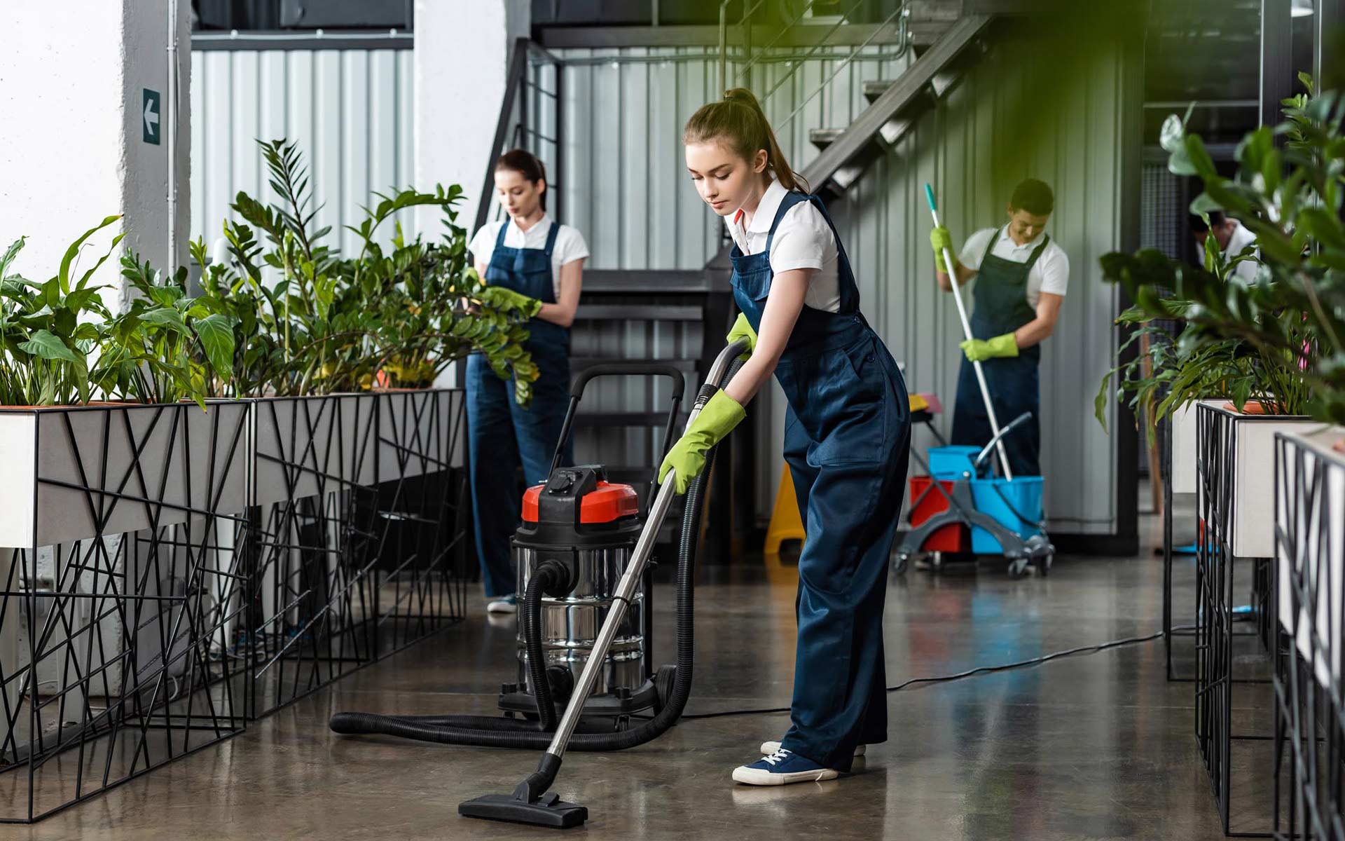 Professional Cleaning Service