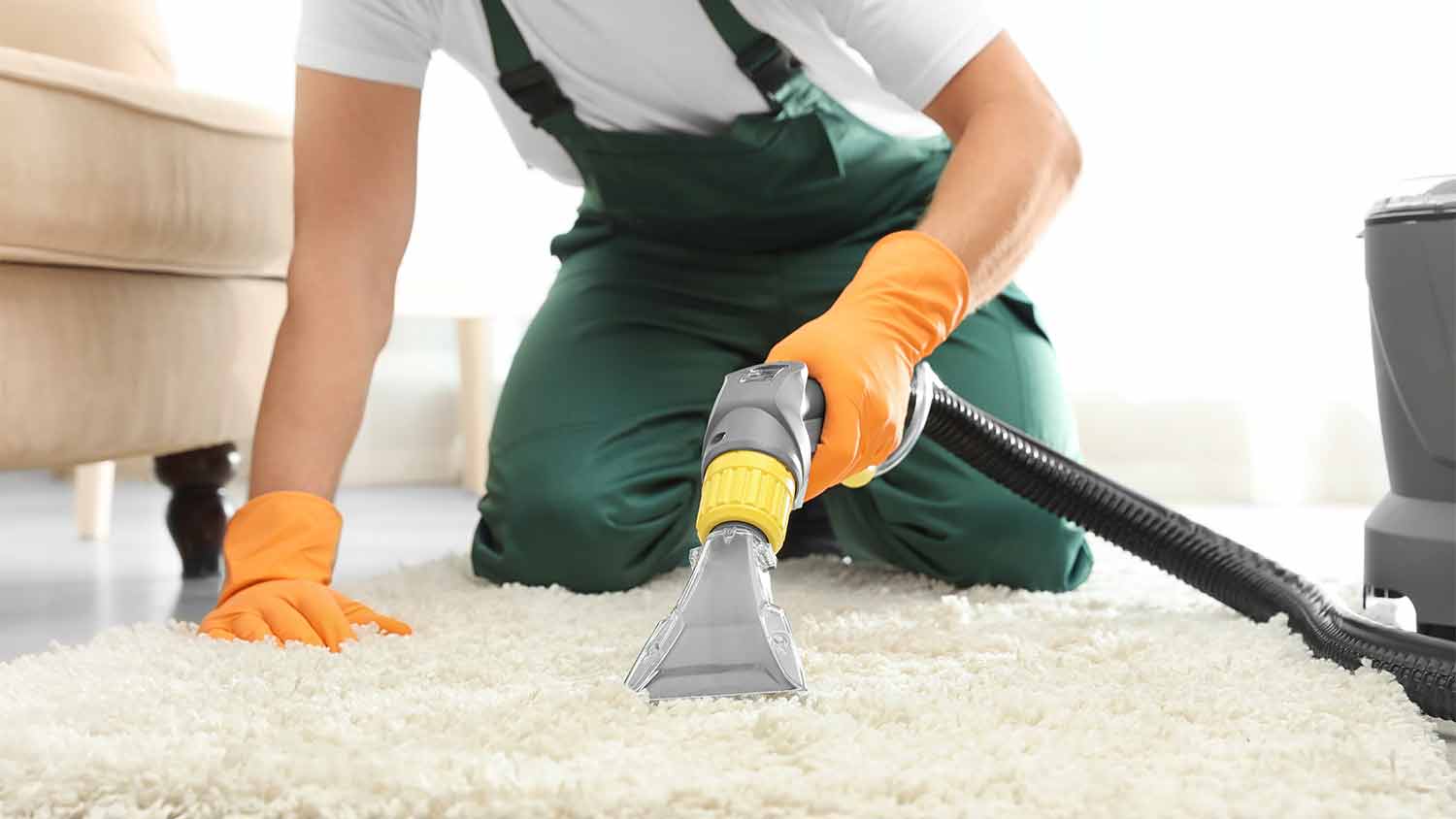 Professional Cleaning Service