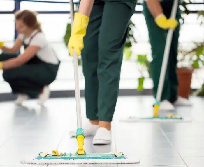 Professional Cleaning Service